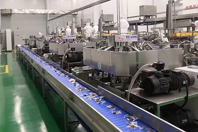 Automatic Packaging Line for Vacuum-packed Food