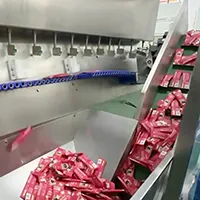 Premade Packaging Machine for Disordered Products