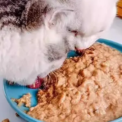 Pet Food Bagging Machine