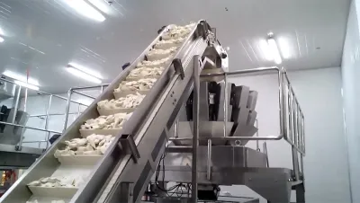 Premade Pouch Packaging Machine (Frozen Food Packaging)