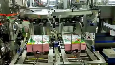 700g Soybean Paste Packaging