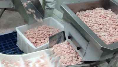 Frozen Shrimp Packaging