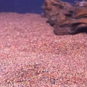 Granule Filling Line